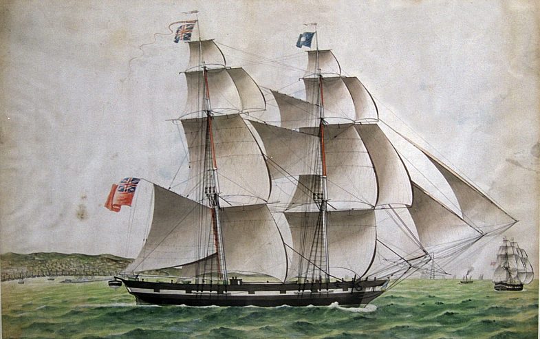 Polli Ship Portrait
